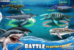 鲨鱼套最新爆料,最新爆料背后的惊人真相