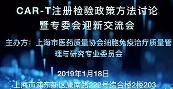 交流会最新爆料,行业动态与未来趋势深度解析