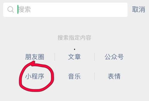 小程序最新爆料网站,功能升级、玩法革新，带你领略科技魅力