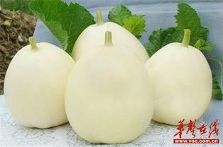 小七甜瓜乐园最新爆料,揭秘乐园背后的秘密与惊喜