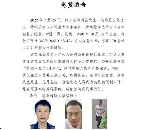 四川枪击案爆料新闻最新,悲剧背后真相逐步浮出水面